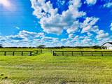 10289 Hwy 555 - Photo 3