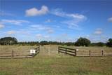 10289 Hwy 555 - Photo 31