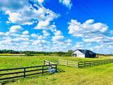 10289 Hwy 555 - Photo 5