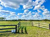 10289 Hwy 555 - Photo 7