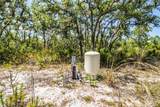 2831 Sand Pine Trail - Photo 85