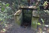 0 Patricia Drive - Photo 12