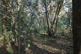 0 Patricia Drive - Photo 13