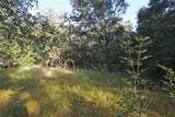 0 Patricia Drive - Photo 33