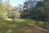 0 Patricia Drive - Photo 34