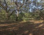0 Patricia Drive - Photo 40