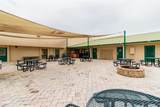 2436 Citrus Tree Road - Photo 18