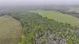 0000 Alligator Road - Photo 15