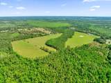 0000 Alligator Road - Photo 18
