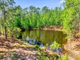 0000 Alligator Road - Photo 19