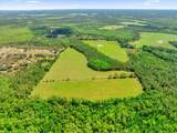 0000 Alligator Road - Photo 22