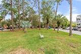 1100 Martinique Drive - Photo 19