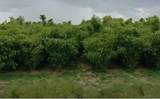  Fazzini Drive - Photo 1