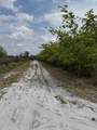  Fazzini Drive - Photo 10