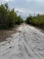  Fazzini Drive - Photo 11