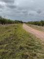  Fazzini Drive - Photo 2