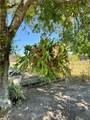 223 Landry Road - Photo 10