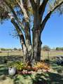 223 Landry Road - Photo 7