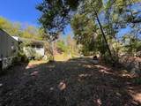 9702 Costine Meadows Drive - Photo 4