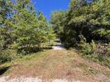 9702 Costine Meadows Drive - Photo 8
