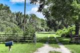 203 Boyer Street - Photo 11