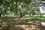 203 Boyer Street - Photo 21