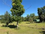 5271 County Road 347 - Photo 37