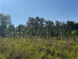 5271 County Road 347 - Photo 46