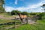 5720 Old Homeland Road - Photo 6