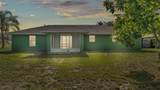 4515 Starfish Avenue - Photo 12