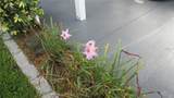 75 Straphmore Drive - Photo 39