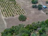 10790 Jim Edwards Road - Photo 8