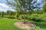 7953 Lake James Boulevard - Photo 41