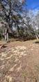 8077 Lake Hatchineha Road - Photo 58
