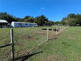 5950 Cow Pen Road - Photo 14