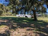 5950 Cow Pen Road - Photo 15