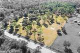 1405 Fazzini Drive - Photo 1