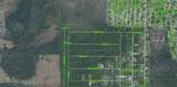 4817 Palm Road - Photo 3