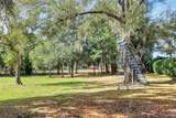  Island Way - Photo 7