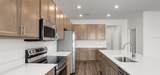 798 Cypress Creek Run - Photo 10