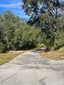 4125 Tiger Creek Trl - Photo 2