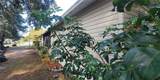 2020 Thelma Drive - Photo 11