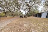 7730 White Road - Photo 51