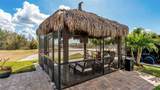 3268 Fish Hawk Drive - Photo 10