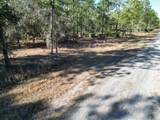 705 Laguna Drive - Photo 12