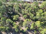 705 Laguna Drive - Photo 3