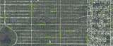 637 Quail Avenue - Photo 5