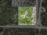 143 Patton Avenue - Photo 4