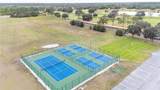 0 Allamanda Drive - Photo 6