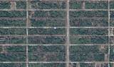 0 Oleander Drive - Photo 16